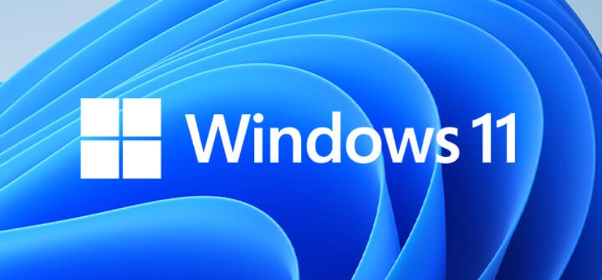 windows 11