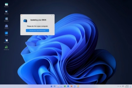 update bios windows 11